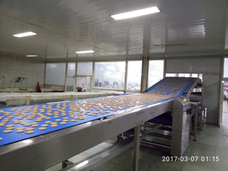 New Products Automatic Cooling Conveyor 